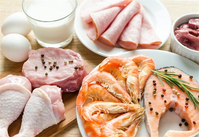 蛋白质、鸡肉、鱼肉、食物-康兴医疗器械官网
