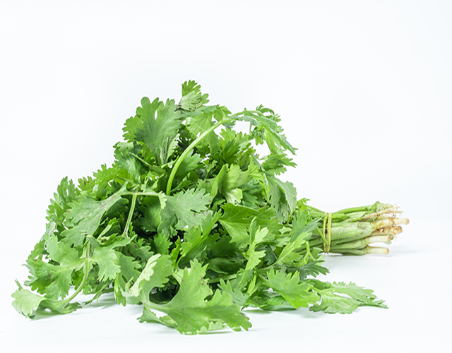 维生素、茴香菜、食材-康兴医疗器械官网