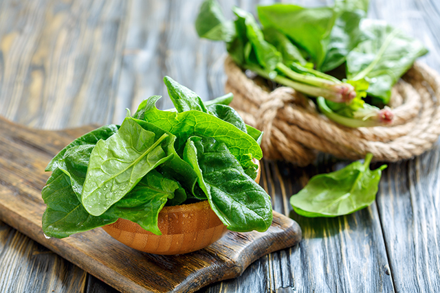 菠菜 蔬菜 饮食-康兴医疗官网