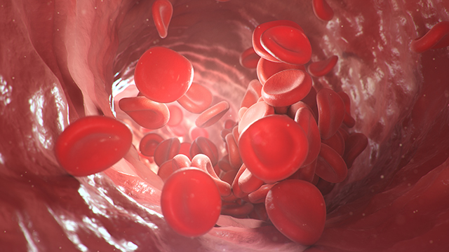 血液粘稠 血红蛋白 血液循环-康兴医疗官网