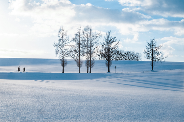 冬天 下雪 寒冷-康兴医疗器械官网 