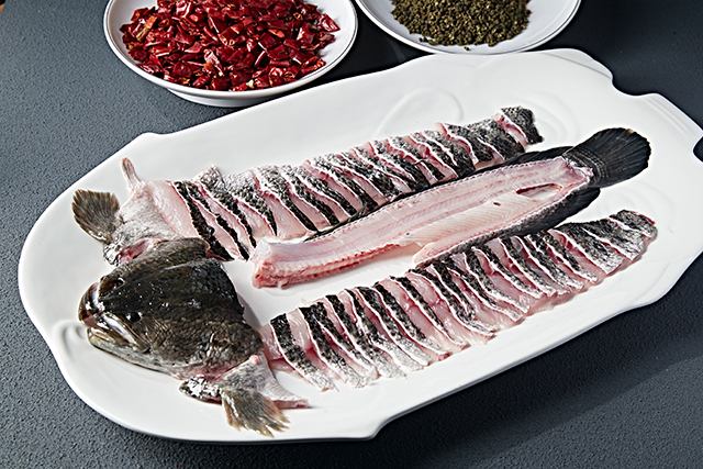 鱼 饮食 鱼类-康兴医疗器械官网 