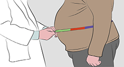 腰围、测量、肥胖-康兴医疗器械官网